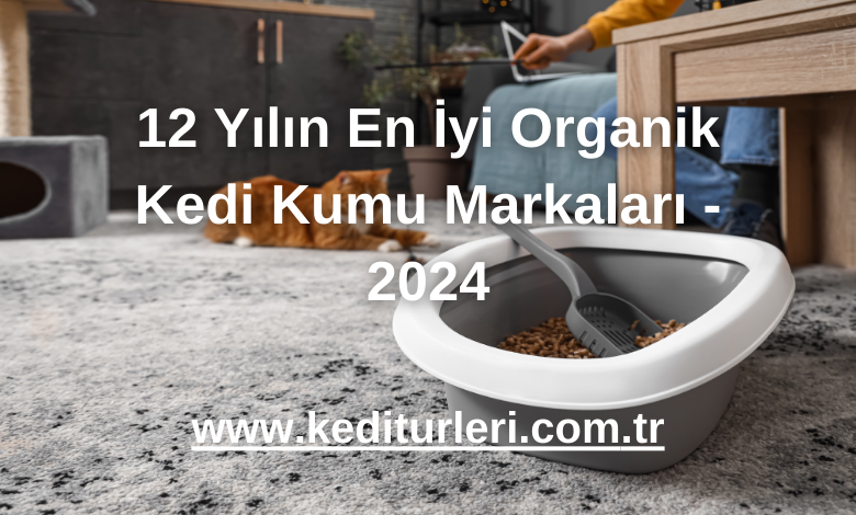 12 Yılın En İyi Organik Kedi Kumu Markaları - 2024