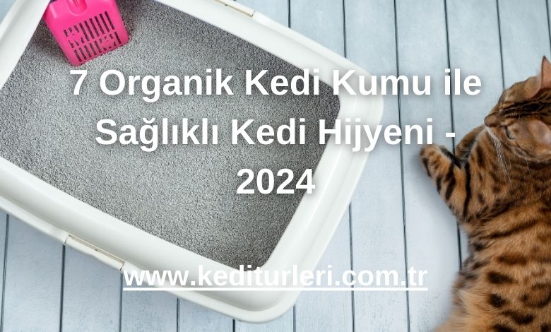 7 Organik Kedi Kumu ile Sağlıklı Kedi Hijyeni - 2024