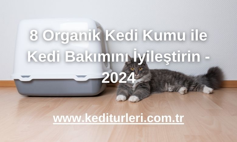 8 Organik Kedi Kumu ile Kedi Bakımını İyileştirin - 2024