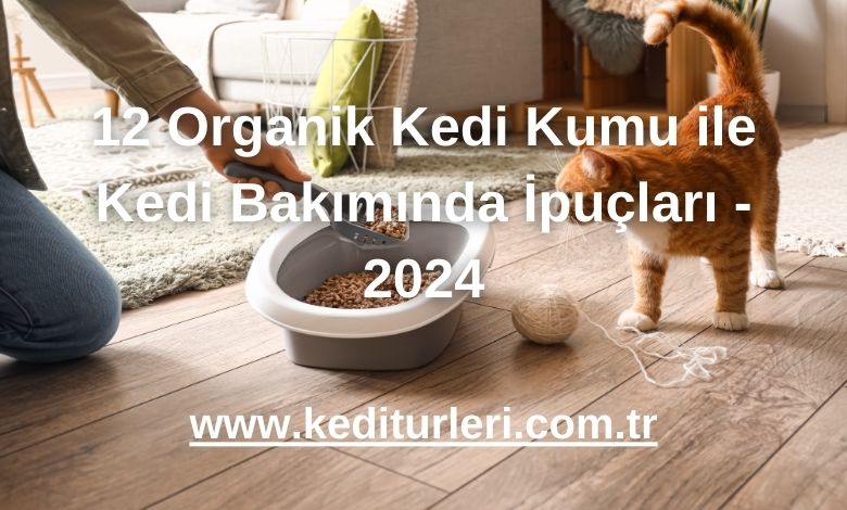 12 Organik Kedi Kumu ile Kedi Bakımında İpuçları - 2024