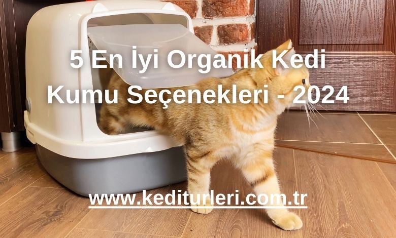 5 En İyi Organik Kedi Kumu Seçenekleri - 2024


