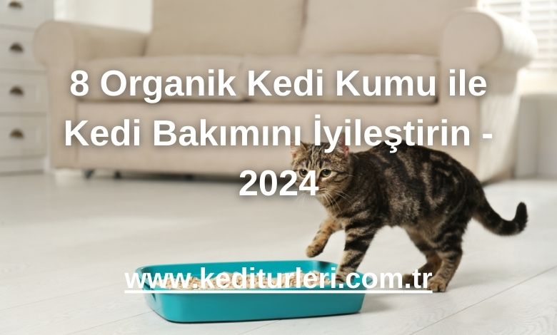 8 Organik Kedi Kumu ile Kedi Bakımını İyileştirin - 2024