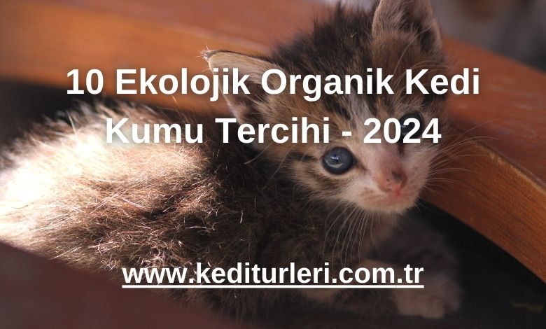 10 Ekolojik Organik Kedi Kumu Tercihi - 2024