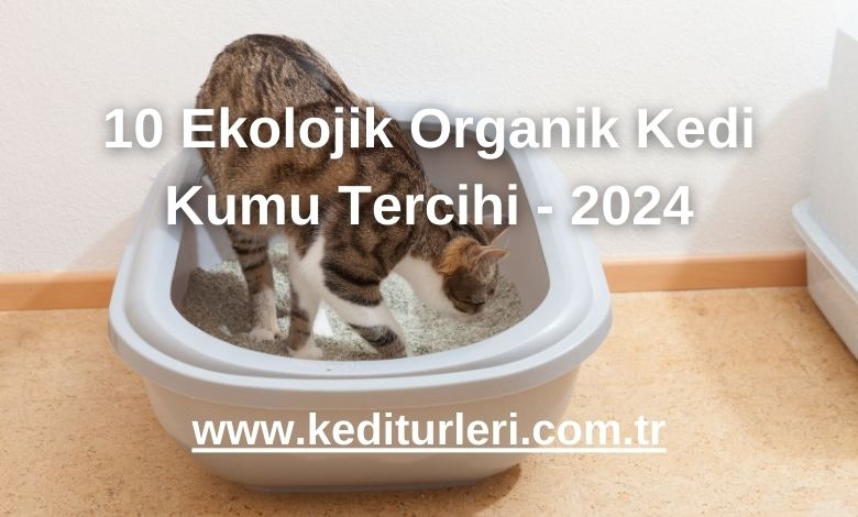 10 Ekolojik Organik Kedi Kumu Tercihi - 2024