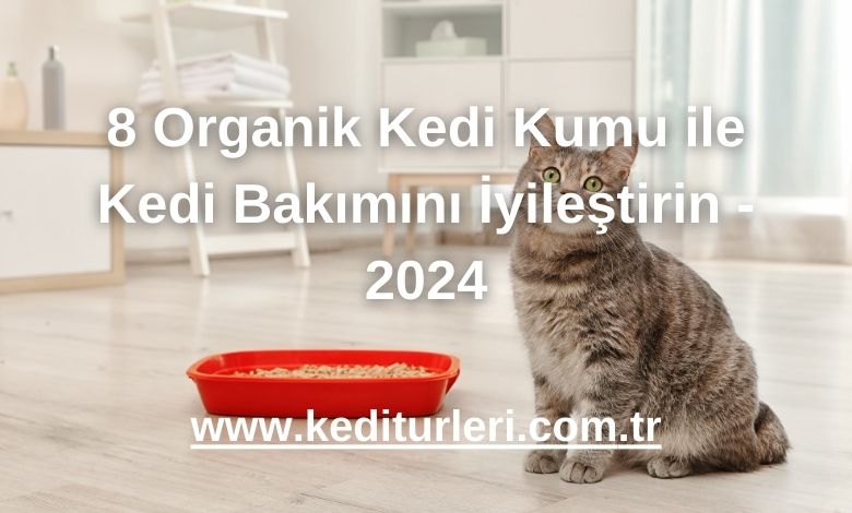 8 Organik Kedi Kumu ile Kedi Bakımını İyileştirin - 2024