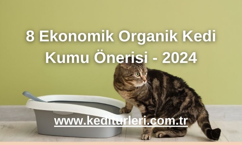 8 Ekonomik Organik Kedi Kumu Önerisi - 2024