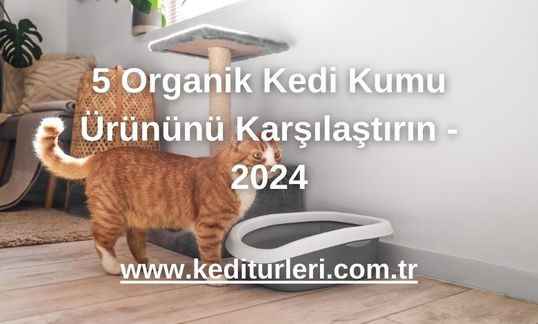 5 Organik Kedi Kumu Ürününü Karşılaştırın - 2024