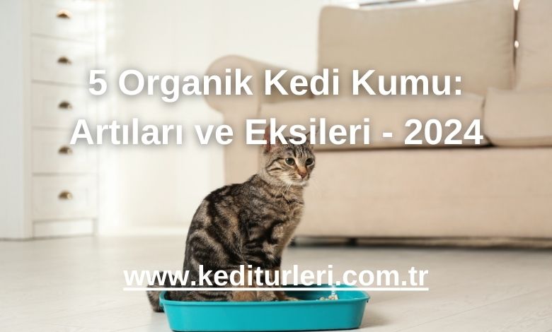 5 Organik Kedi Kumu: Artıları ve Eksileri - 2024