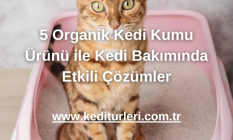 5 Organik Kedi Kumu Ürünü ile Kedi Bakımında Etkili Çözümler - 2024