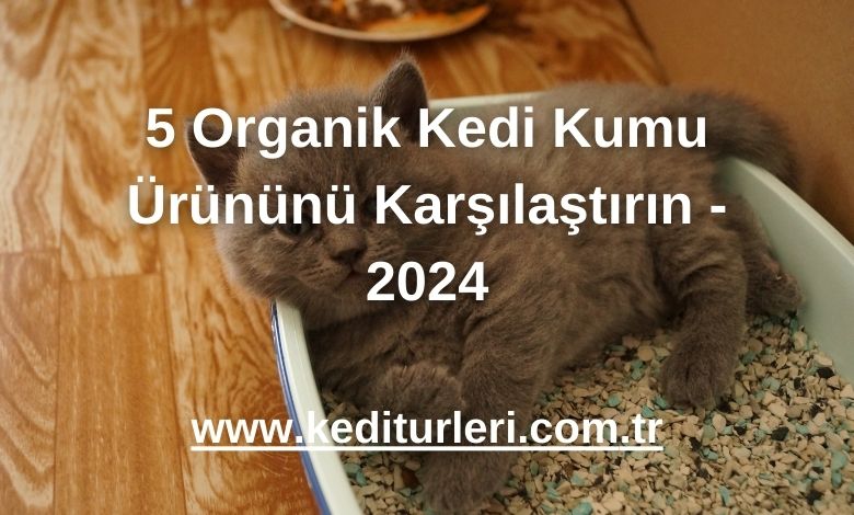5 Organik Kedi Kumu Ürününü Karşılaştırın - 2024