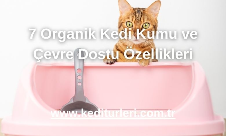 7 Organik Kedi Kumu ve Çevre Dostu Özellikleri - 2024