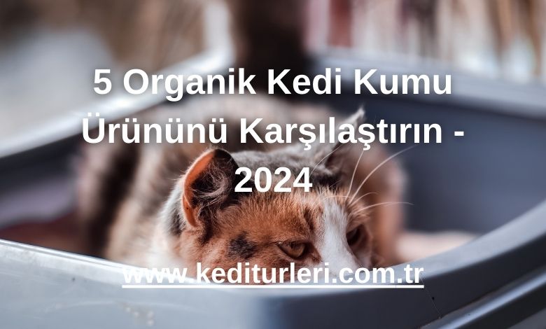 5 Organik Kedi Kumu Ürününü Karşılaştırın - 2024