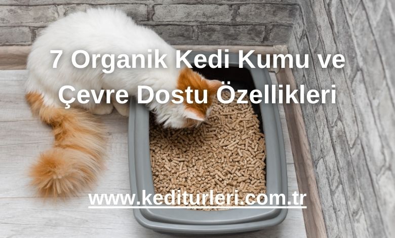 7 Organik Kedi Kumu ve Çevre Dostu Özellikleri - 2024