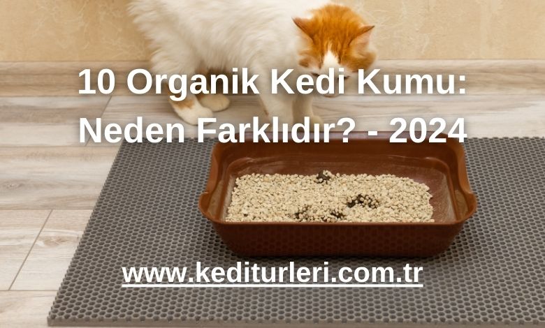 10 Organik Kedi Kumu: Neden Farklıdır? - 2024