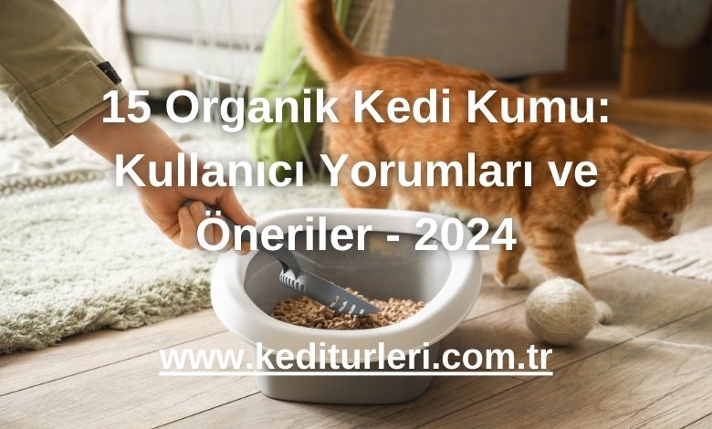15 Organik Kedi Kumu: Kullanıcı Yorumları ve Öneriler - 2024