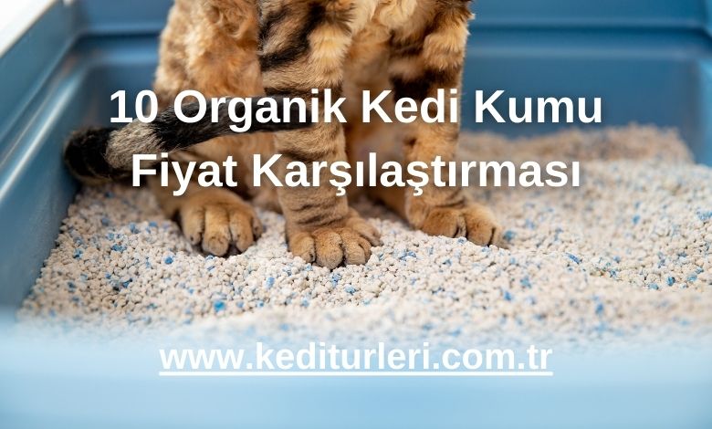 10 Organik Kedi Kumu Fiyat Karşılaştırması - 2024