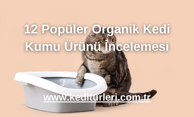 12 Popüler Organik Kedi Kumu Ürünü İncelemesi - 2024